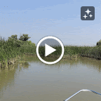 DSCN2662-MOTION.gif