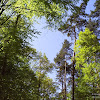 s4031165.jpg s4031165.jpg