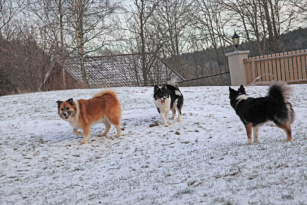 [08des2011_julebilder_5500%255B4%255D.jpg]