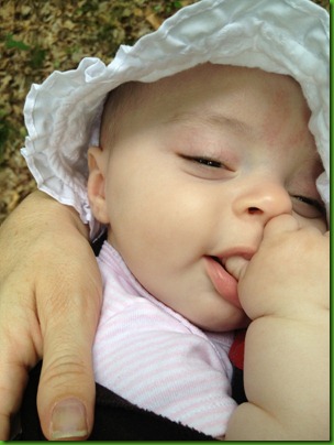 IMG_8097 IMG_8097