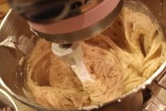 IMG_0578 IMG_0578