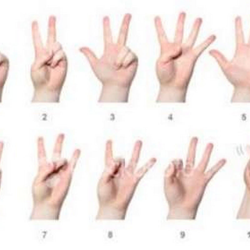 Lịch sử ngôn ngữ ký hiệu (sign language hay thủ ngữ)