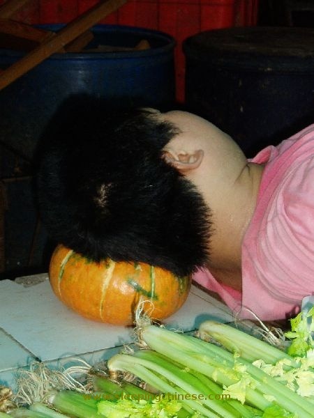 sleeping-chinese-30