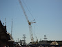 4-24-12005.jpg