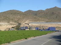 IMG_2458 IMG_2458
