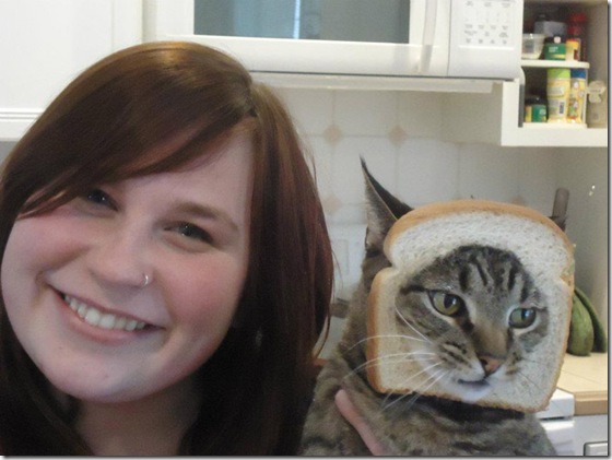 breaded-cats-4