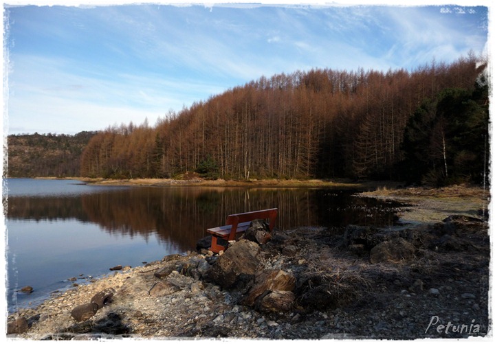 Himmelsk # 80