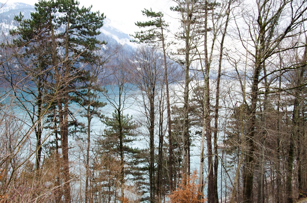 Lake at Brienzwiler