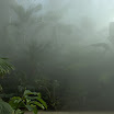 DSC_5654.jpg