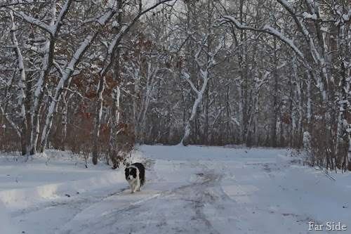 Chance returning home after being the mail escort