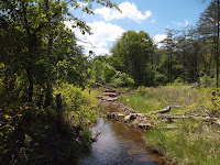 SAM_0359.JPG Photo