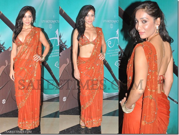 Kashmira_Shah_Georgette_Saree