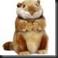 MARMOTA MARMOTA