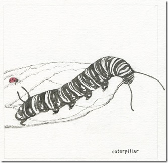 29 caterpillar blog