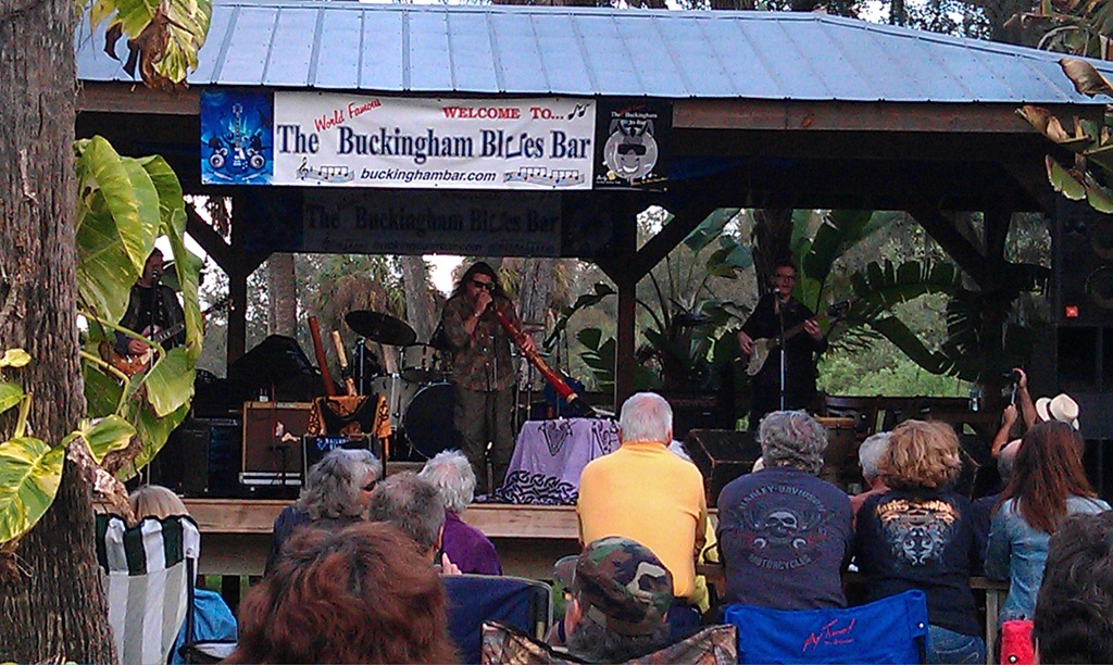 [2012-02-11%2520Buckingham%2520Blues%2520Bar%2520Bluesfest%2520016%255B12%255D.jpg]