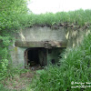 dsc06808.jpg