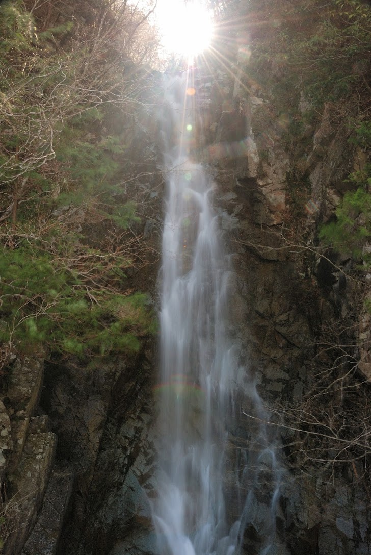 逆光の高時の滝