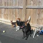 DSCN4743.jpg