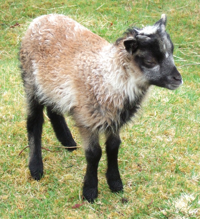 [004%255B6%255D.jpg]