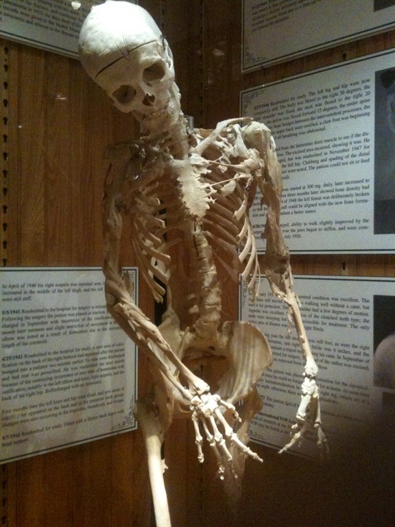[IMG_0968%255B5%255D.jpg]