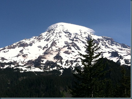 IMG_2260 IMG_2260