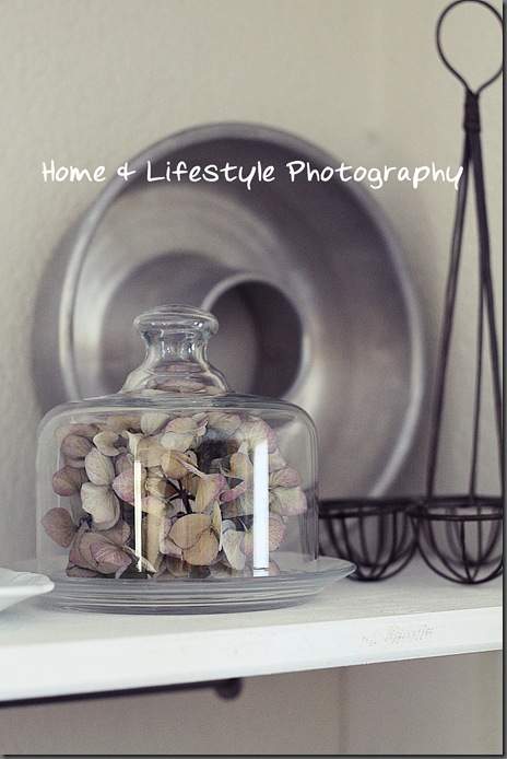 Home & Lifestyle Home & Lifestyle