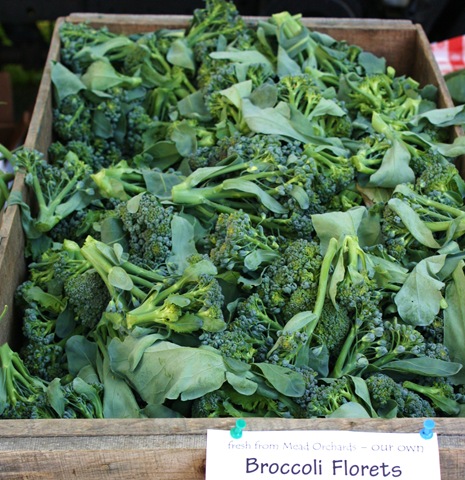 [broccoli%2520florets%2520mead%255B11%255D.jpg]