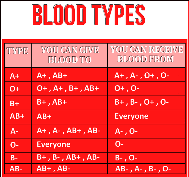 what is the most common blood type what is the most common blood type