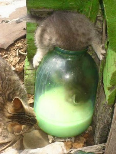 Не удерживай то что уходит. Смотреть фото Не удерживай то что уходит. Смотреть картинку Не удерживай то что уходит. Картинка про Не удерживай то что уходит. Фото Не удерживай то что уходит