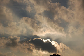 DSC_0413.JPG
