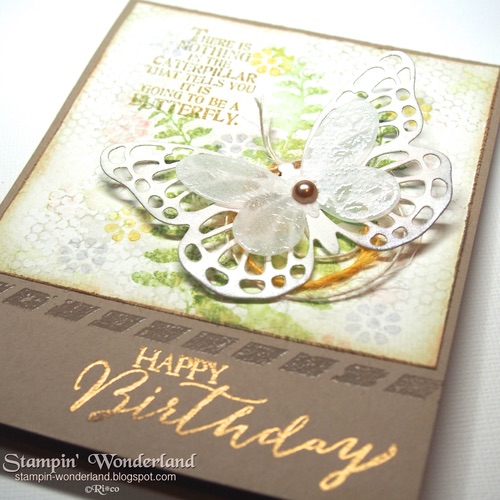 B D card 2015 04 0810.jpg B D card 2015 04 0810