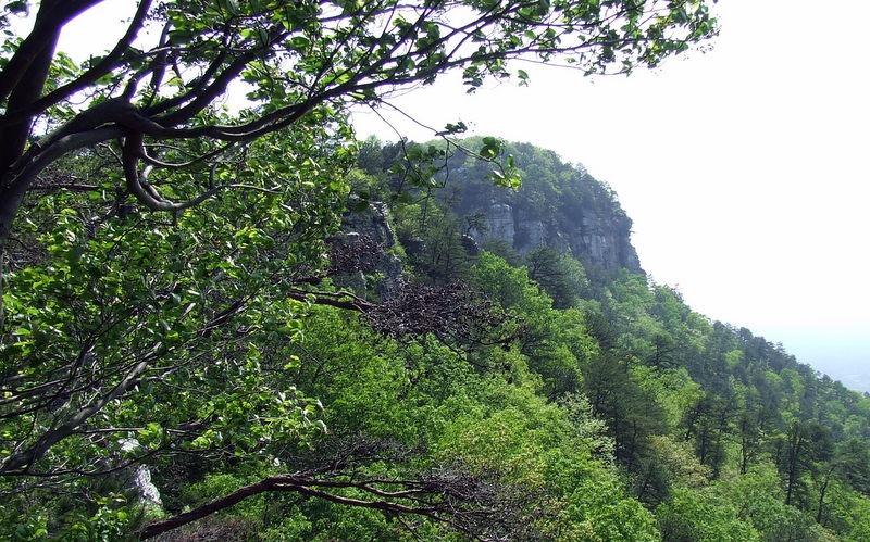 [DSCF90826.jpg]