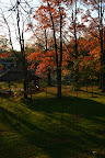 Green grass and gazebo