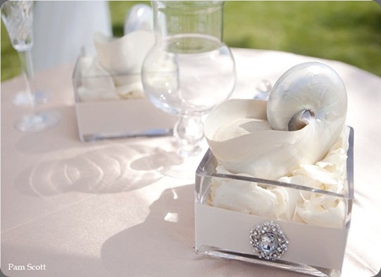 nautilus-sand-ceremony-bling-hotel-del-coronado aileen tran nautilus-sand-ceremony-bling-hotel-del-coronado aileen tran