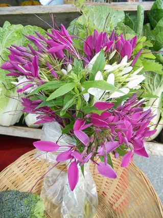 [FM_flowers%255B6%255D.jpg]