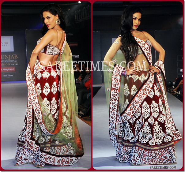 Veena_Malik_Shimmer_Saree