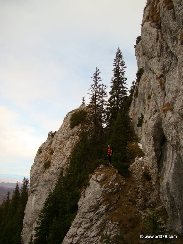 cioranga ramura de sus-21.JPG