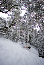 snow-11