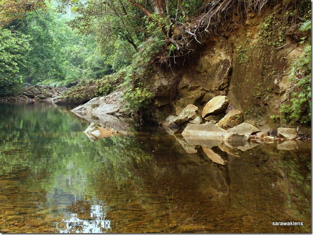 calm_river_sarawaklens