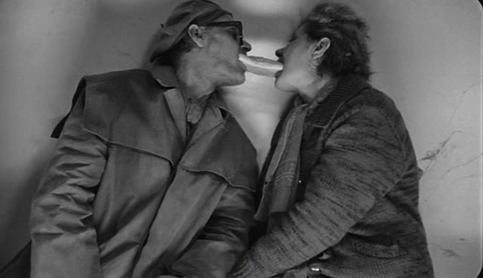 квиз без темы