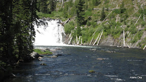 IMG_4184.jpg