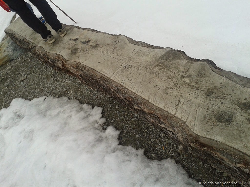 [IMG_20150315_174355%255B8%255D.jpg]