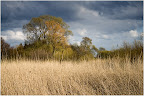 An der Wümme bei Höftdeich
