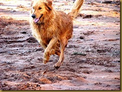 IMG_3661 IMG_3661
