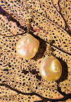 Fresh water pearl and 18ct gold earrings 220.00
