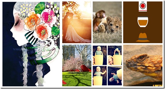 artCollage artCollage