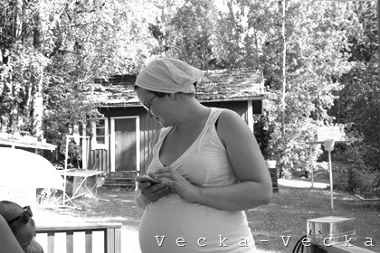 IMG_2051 IMG_2051
