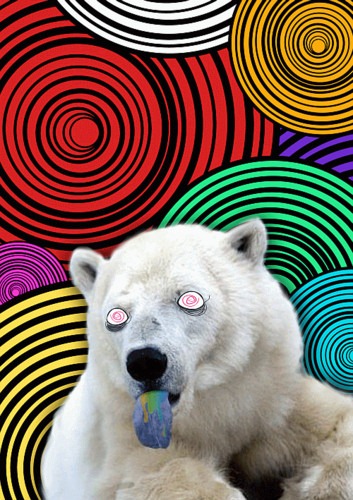[Bear-on-LSD6.jpg]