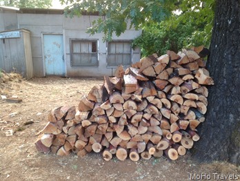 IMG_0770 IMG_0770