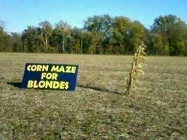 [corn-maze-for-blondes2%255B3%255D.jpg]